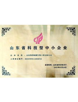 山東省科技型中小企業(yè)