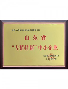山東省“專(zhuān)精特新”中小企業(yè)