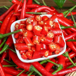 優(yōu)質(zhì)朝天椒高產(chǎn)栽培種植技術(shù)
