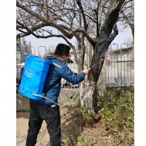 搶救被蛀蟲危害嚴重的大樹