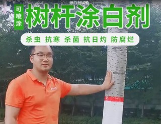 涂白劑試驗(yàn)