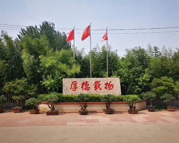 廠區(qū)一角