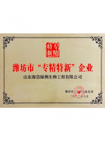 濰坊市“專精特新”企業(yè)
