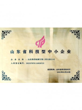 山東省科技型中小企業(yè)
