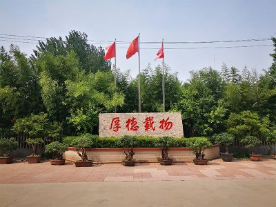廠(chǎng)區(qū)一角