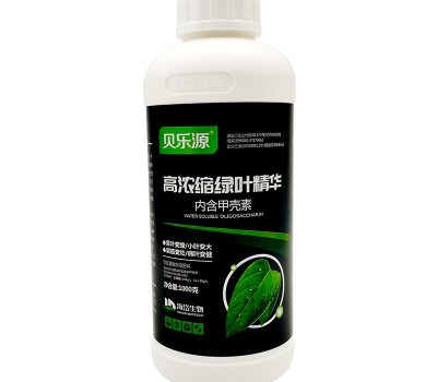 高濃縮綠葉精華