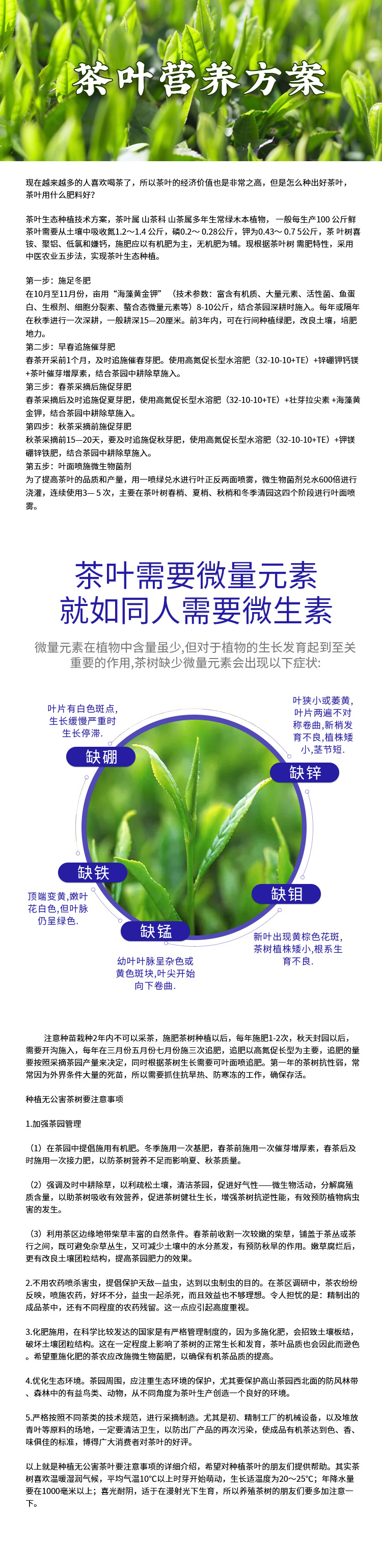 茶葉營(yíng)養(yǎng)方案.jpg