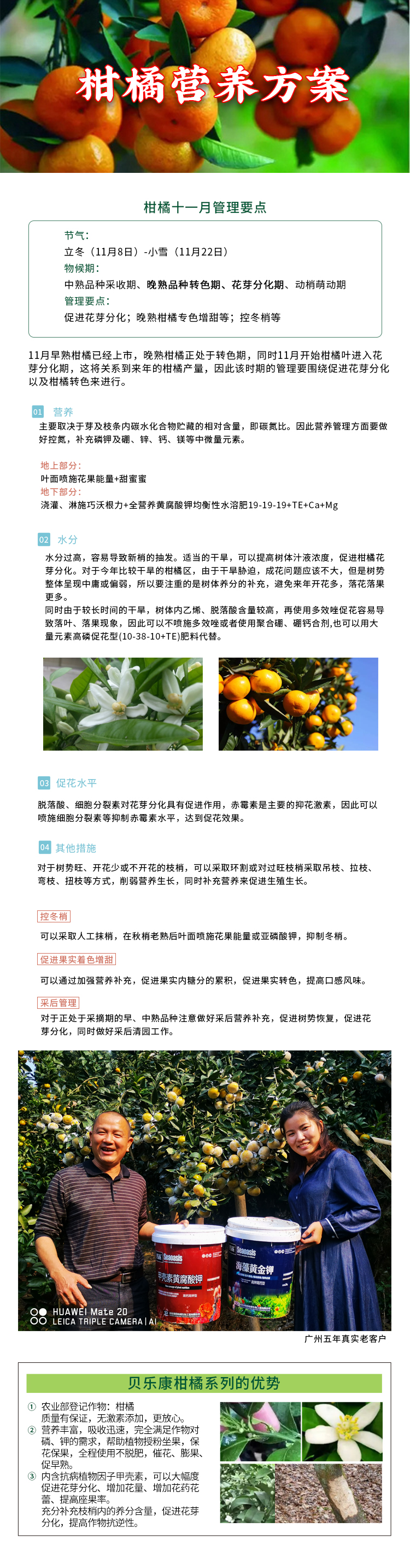 柑橘營養(yǎng)方案.jpg