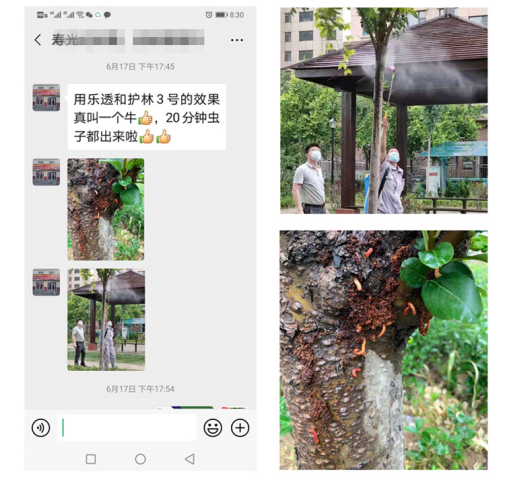 必看！怎樣有效防治書干蛀蟲2043.png