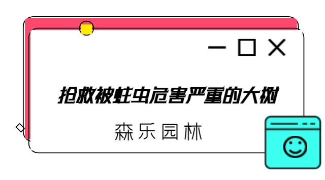 樹皮穿透劑 (1).jpg